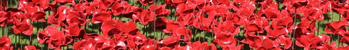 Poppy Art Installation, Tower of London